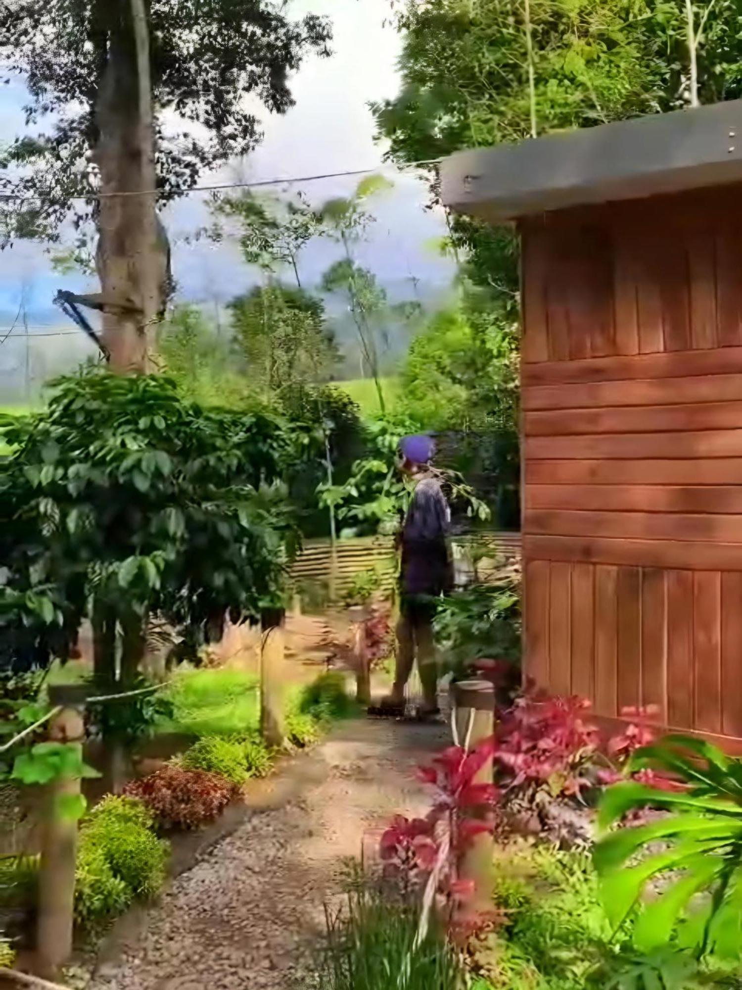 Penginapan Nuansa Riung Gunung Hotel Pangalengan Exterior foto