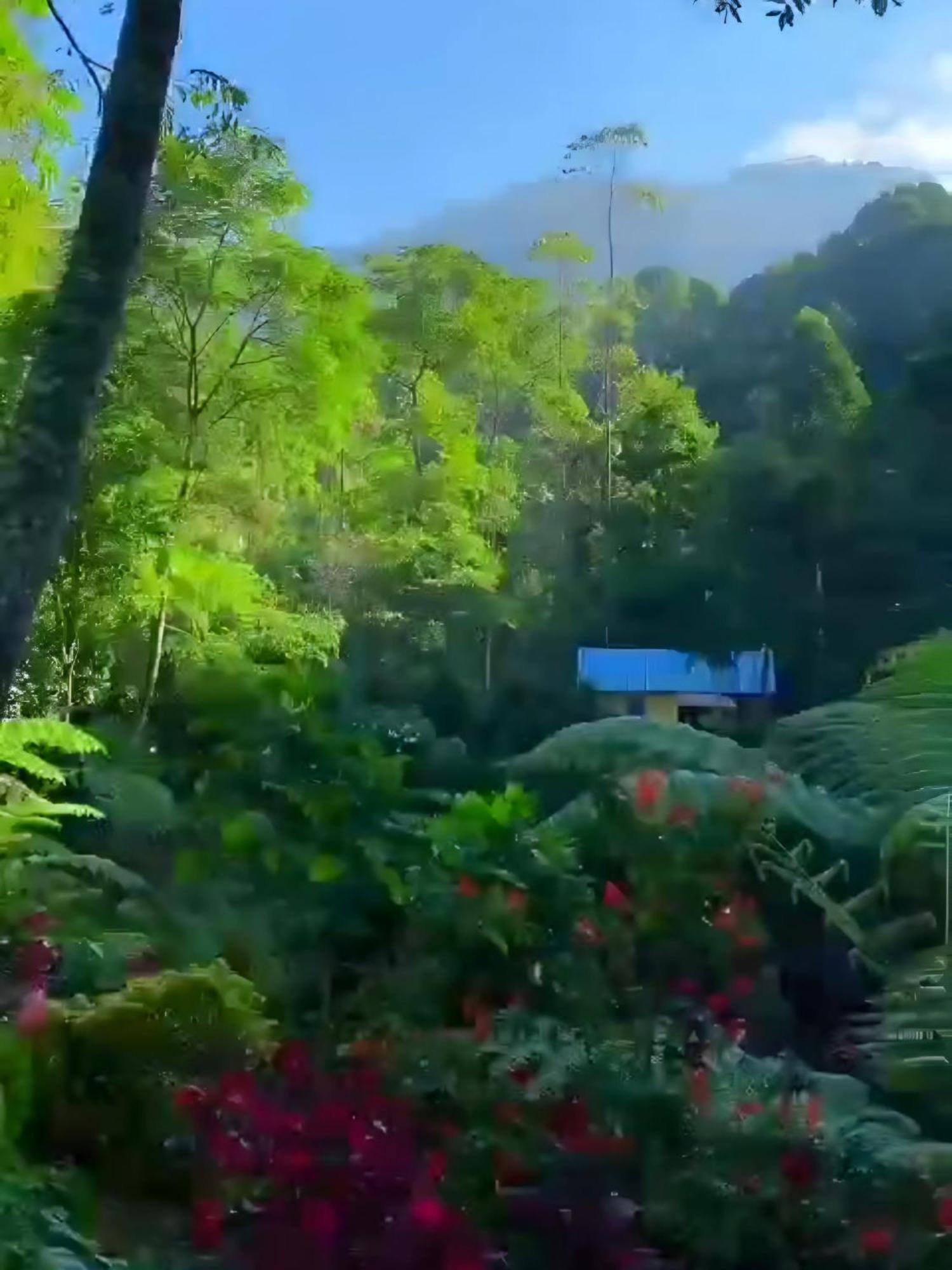 Penginapan Nuansa Riung Gunung Hotel Pangalengan Exterior foto